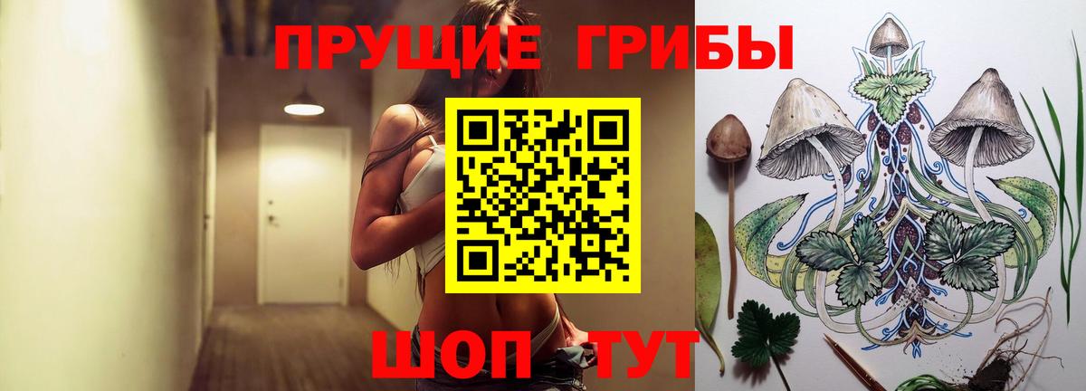 Родники  Галлюциногенные грибы ЛСД  Псилоцибиновые грибы Psilocybine cubensis  Вход с VPN 