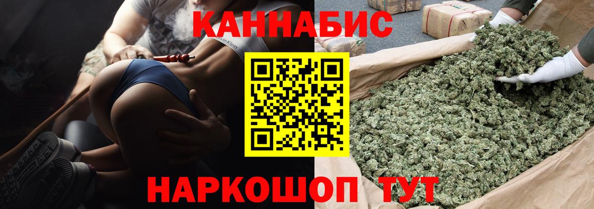 Бошки Шишки сатива Родники